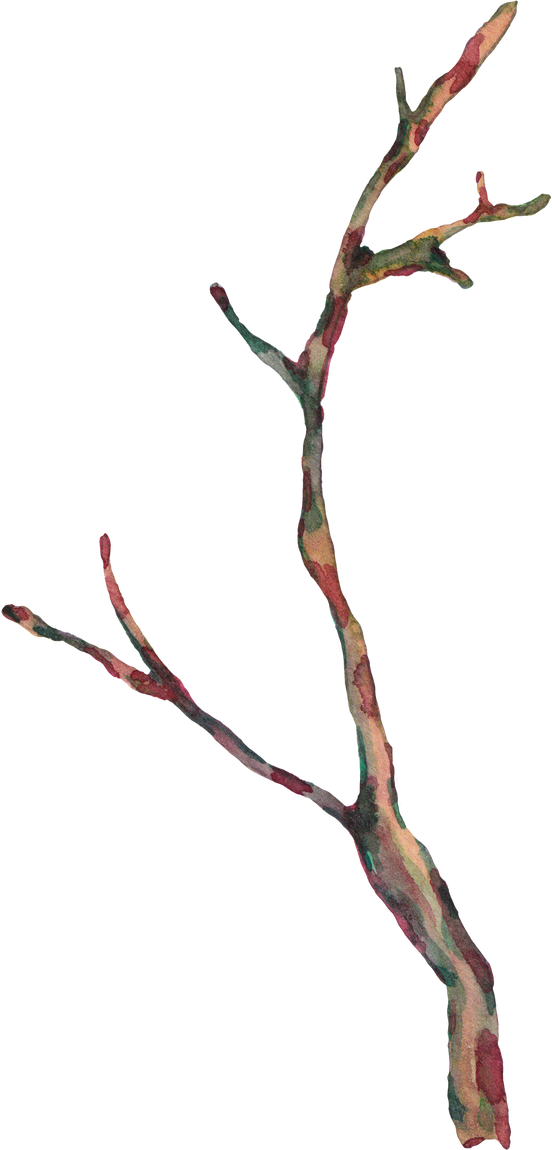 Watercolor twig